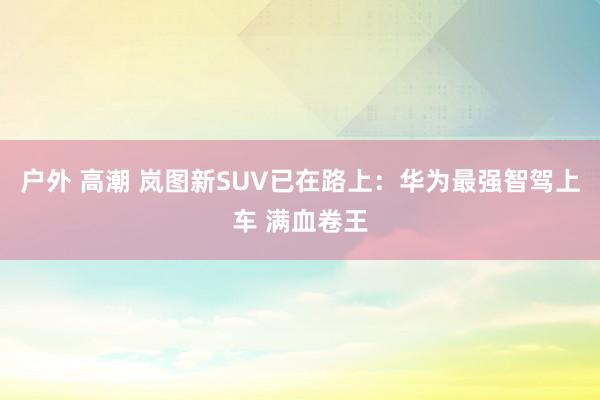 户外 高潮 岚图新SUV已在路上：华为最强智驾上车 满血卷王