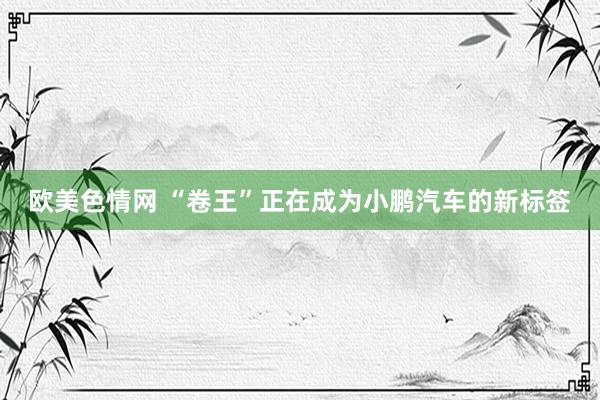 欧美色情网 “卷王”正在成为小鹏汽车的新标签