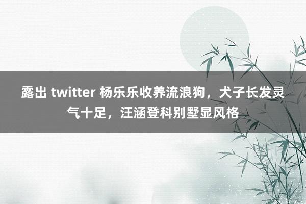 露出 twitter 杨乐乐收养流浪狗，犬子长发灵气十足，汪涵登科别墅显风格