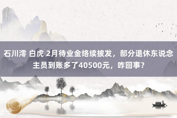 石川澪 白虎 2月待业金络续披发，部分退休东说念主员到账多了40500元，咋回事？