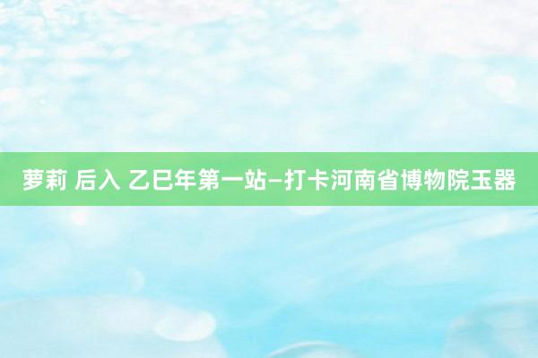 萝莉 后入 乙巳年第一站—打卡河南省博物院玉器