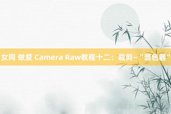 女同 做爱 Camera Raw教程十二：裁剪—“混色器”