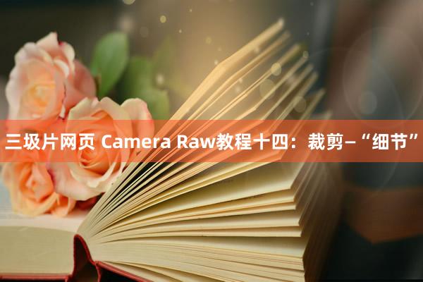 三圾片网页 Camera Raw教程十四：裁剪—“细节”