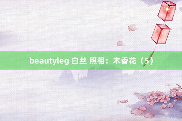 beautyleg 白丝 照相：木香花（5）