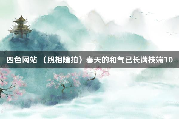 四色网站 （照相随拍）春天的和气已长满枝端10