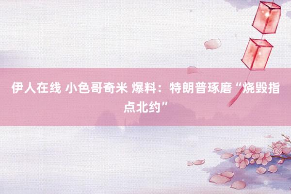 伊人在线 小色哥奇米 爆料：特朗普琢磨“烧毁指点北约”