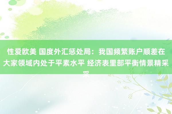 性爱欧美 国度外汇惩处局：我国频繁账户顺差在大家领域内处于平素水平 经济表里部平衡情景精采